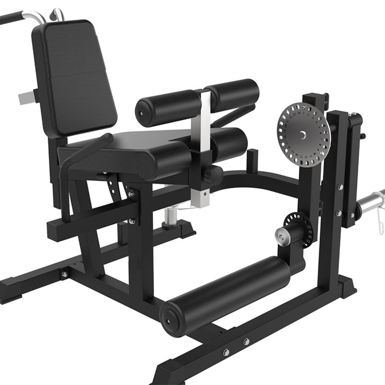 Leg Extension and Curl Machine